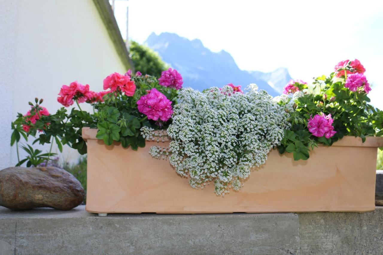 Apart Brigitta Sankt Leonhard im Pitztal Kültér fotó